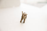 Top-down view of a handmade African rabbit figurine's textured head and floppy ears.