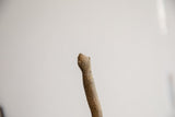Roughly sculpted head of the vintage African snake figurine.