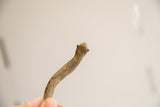 The rustic, aged patina and handmade texture of the snake figurine's head.