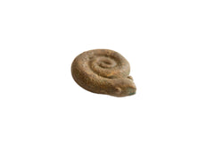 Vintage African Curled Snake Figurine // ONH Item ab02041