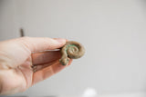 Hand-held vintage African curled snake figurine, showing textured detail and green patina.
