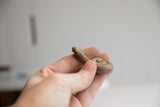 Profile view of a handmade curled snake figurine held to show its scale.