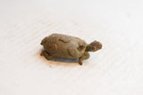 Aged metal African turtle figurine, detailed head, front leg, and spiral shell motifs.