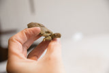 Vintage African turtle figurine head and front legs, highlighting aged texture.
