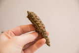Vintage pangolin figurine held in hand to demonstrate its scale and textured surface.