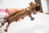 Holding the vintage African lion dog sculpture to show its scale and rustic texture.