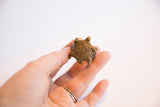 Side profile of a vintage African turtle ring showing its textured bronze casting.