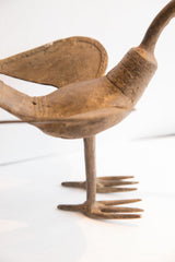 Low-angle view of the cast African bird's textured body and slender supportive legs.