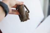 The back and underside of the handmade African monkey figurine showing its aged patina.