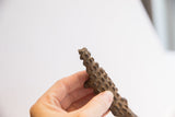 Close-up of the vintage alligator sculpture's snout, showing its bumpy, handmade texture.
