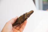 Underside of the handmade African alligator showing its textured form and feet.