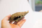 Vintage African fish casting held to show its hollow form and textured, aged patina.