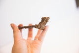 Vintage Baole Dogon cuff bracelet held to show its scale and sculptural form.
