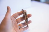 Vintage African cricket cuff bracelet held in hand showing its scale and texture.