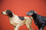 Black vintage pointer dog doorstop featuring distressed paint and surface texture.