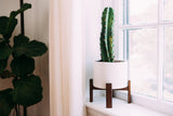 Sleek Modern White Ceramic and Wooden Planter on a dark brown stand, 8.5 inches tall.