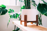 Modern white ceramic planter with dark wood stand on a light wooden surface.