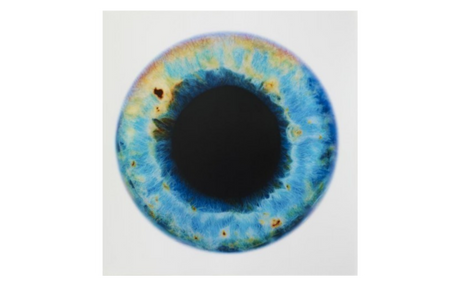 Marc Quinn "Blue Planet" 2012 Color Photograph // ONH Item 6025