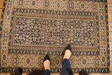 Animated field featuring geometric serpent motifs in navy, sand, and sky blue.