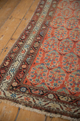 Vintage Malayer rug border detail, brick red field with boteh, and tattered fringe.
