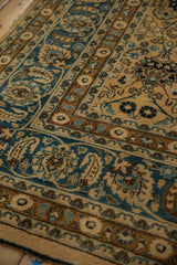 Distressed Meshed carpet section with camel, sky blue, and copper floral vinery.
