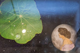Woman's profile with brown hair and pink garment, against full moon and starry night sky.
