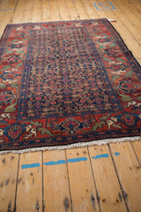 White fringe, mythical animal design, and cherry red border on a vintage Bijar rug.