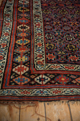 Corner detail of a Kurd rug with a serrated main border and a meandering vine guard border.