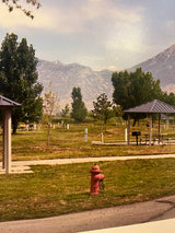 Joe Farrell's Bending Tree photograph showing a red fire hydrant in a park below a mountain range.