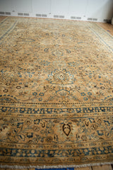 Distressed wool pile texture with sand and indigo palmette vinery, vintage Meshed rug.
