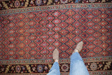 Cherry red geometric trellis field and unique serrated leaf palmette border on antique Kurdish runner.