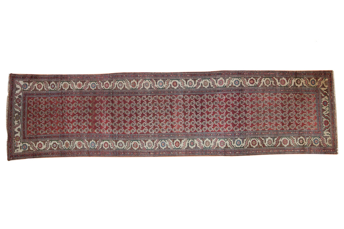 Vintage Hamadan rug runner with an allover pattern of botehs in chestnut red, dusty green, and pale blue.