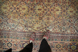 Vintage Mahal carpet's saffron yellow field and Samovar border detail, viewed underfoot.