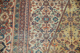 Vintage Mahal carpet: Samovar vine border with trellis germinating plants on saffron and ivory.