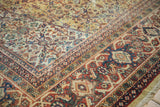 Hand-knotted Mahal carpet pile with germinating plant trellis, Samovar border, ivory, brick, sapphire.