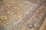 Vintage Mahal carpet detail: red Samovar vine border and field of saffron yellow germinating plants.