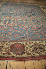 Antique Bakshaish carpet border in antique ivory with cochineal red motifs, sapphire blue Herati field.