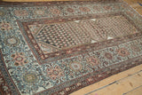 Kurdish Hamadan rug border with ornate palmettes, floral motifs, and mahi-mahi spandrel.