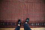 Antique Qashqai runner, contrasting madder root red tribal field with navy blue plant motif border.