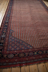 Antique Qashqai rug corner with navy lattice spandrel and madder root red vinery pattern.