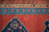 Stylized serpent and vine borders next to the madder red field of an antique Bakshaish rug.