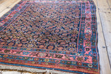 Vibrant coral rose border frames intricate Herati pattern on deep navy Vintage Bidjar rug.