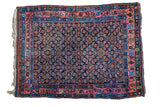 Vintage Bidjar rug with navy ground, coral border, Herati pattern, green accents, 3'8