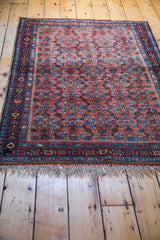 Antique Bidjar rug showing its intricate floral border, unique green accents, and natural fringe.