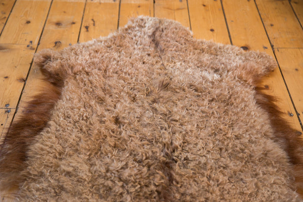 2x3.5 New Angora Throw Rug // ONH Item ee001699 Image 1