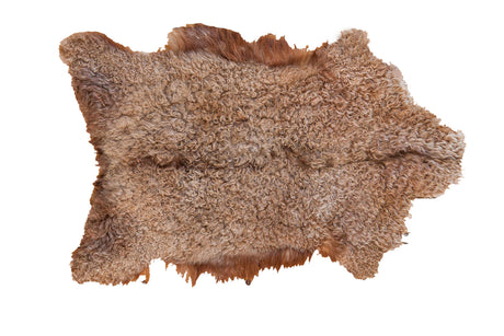 2x3.5 New Angora Throw Rug // ONH Item ee001699