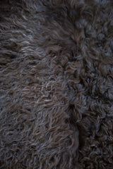 Soft, curly angora wool pile with mottled dark and ash grey tones.