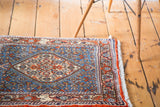 Vintage Bidjar rug corner displaying a rust red turtle border and blue Herati field.
