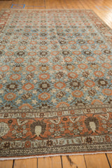 Vintage Veramin carpet border, stylized bird and pomegranate motifs on faded rust and blue.