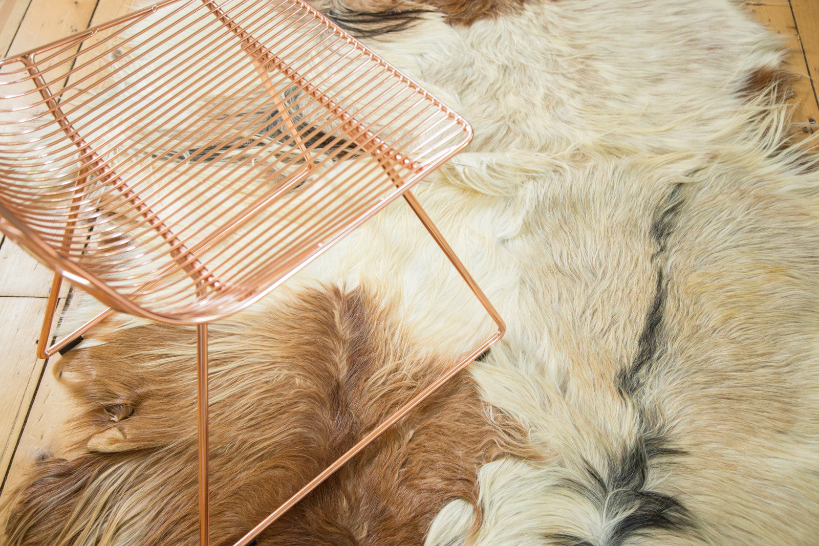 4x5.5 New Angora Skin Rug // ONH Item ee002392 Image 1